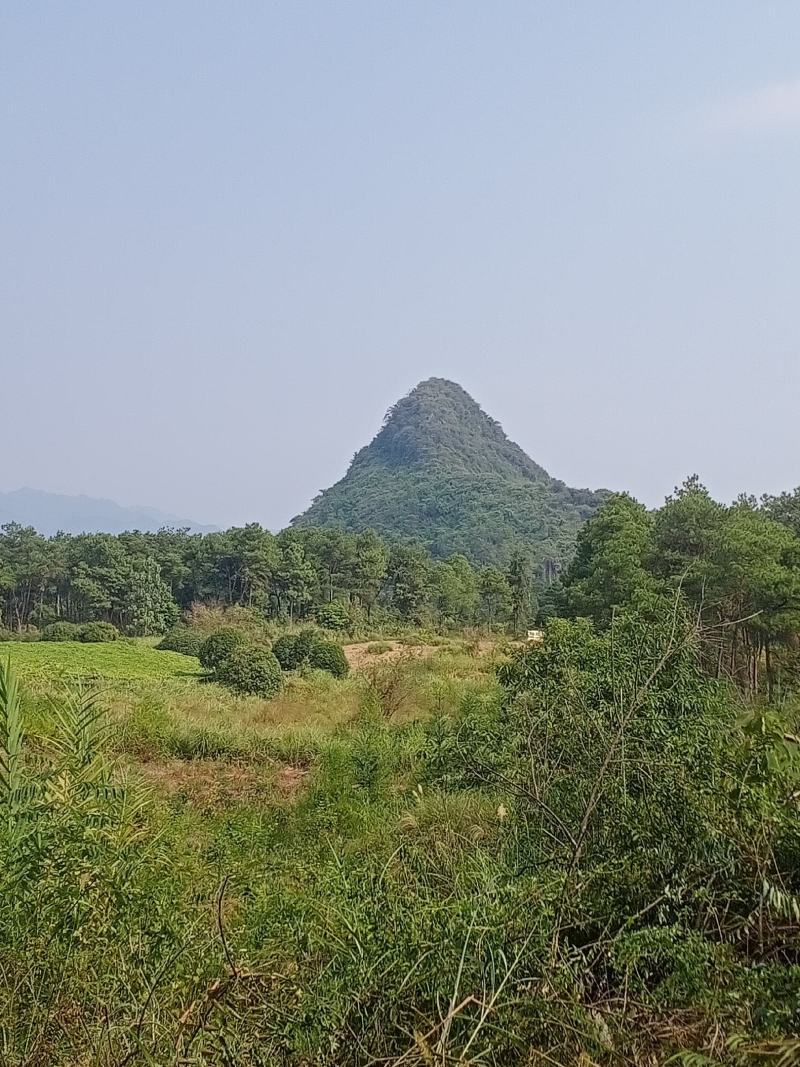 一漂亮的文笔峰，居正坎方。得水而能继。此地必能富贵的地。