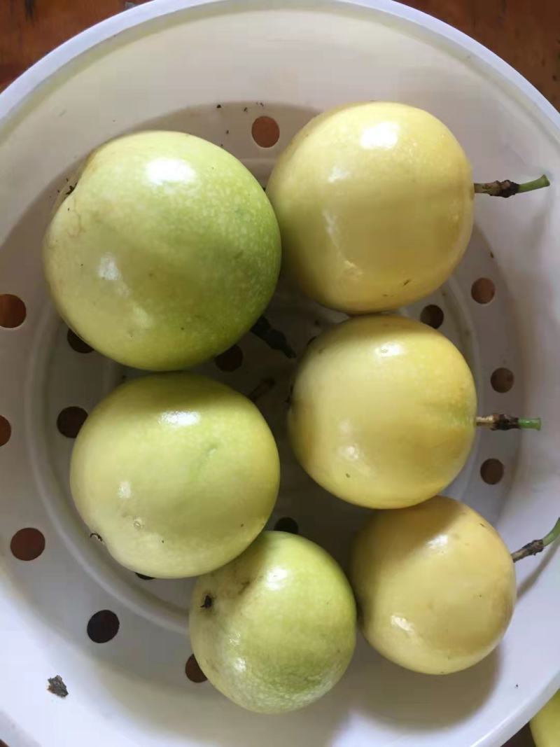 黄金百香果