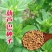 葫芦巴种子胡芦巴胡卢巴一年生叶宝菜籽别称香草香豆种子