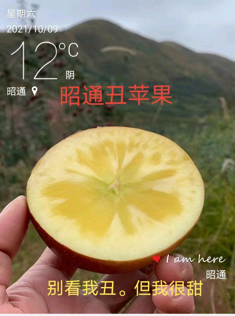 云南昭通苹果。樱桃小苹果《产地代办》市场电商主播供应