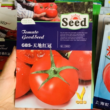 天地红冠高品质红果番茄种子特早熟大果西红柿种子适应性广