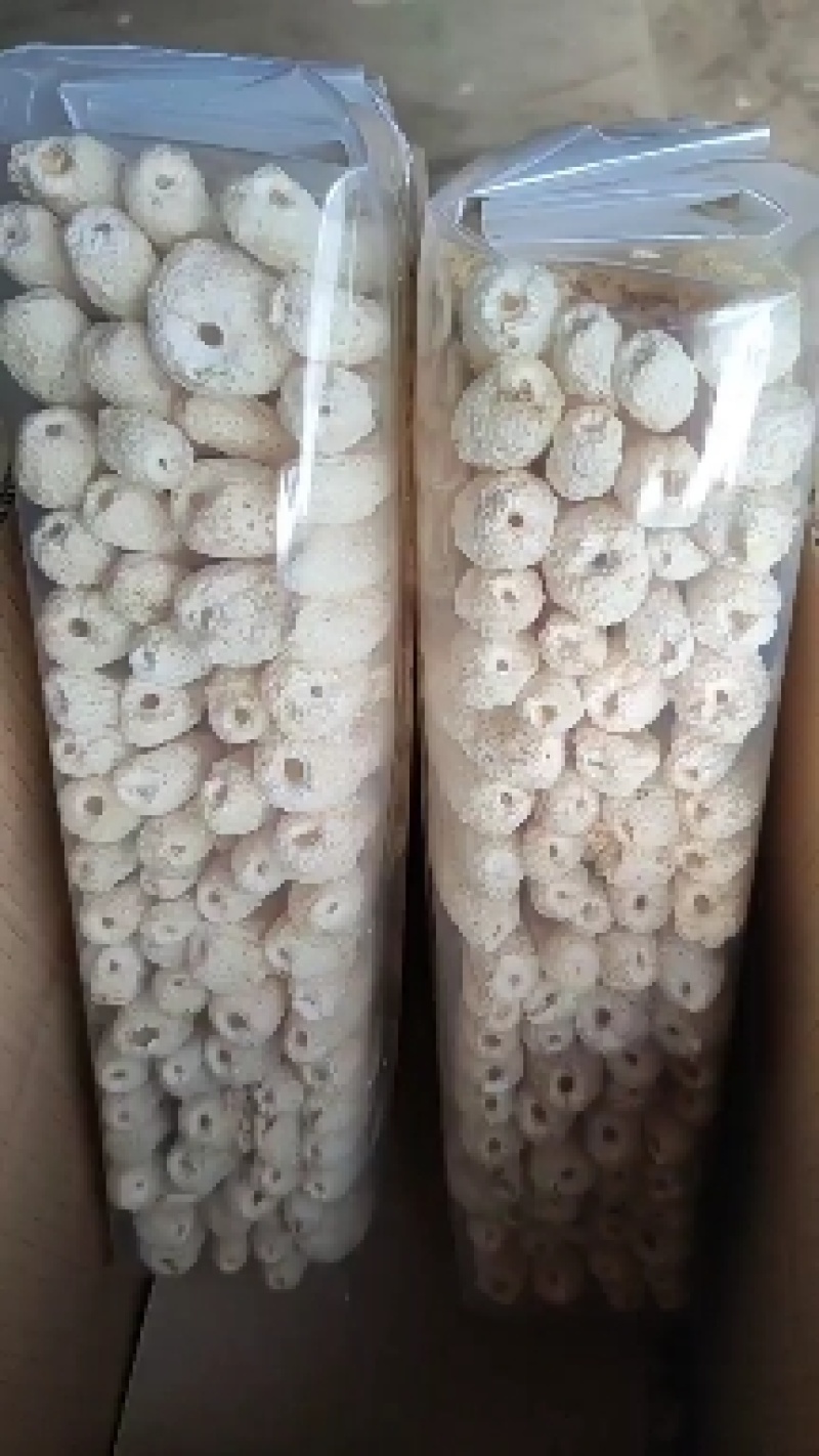 食用菌干货竹荪福建农家特产长裙竹荪批发定制各种规格包装