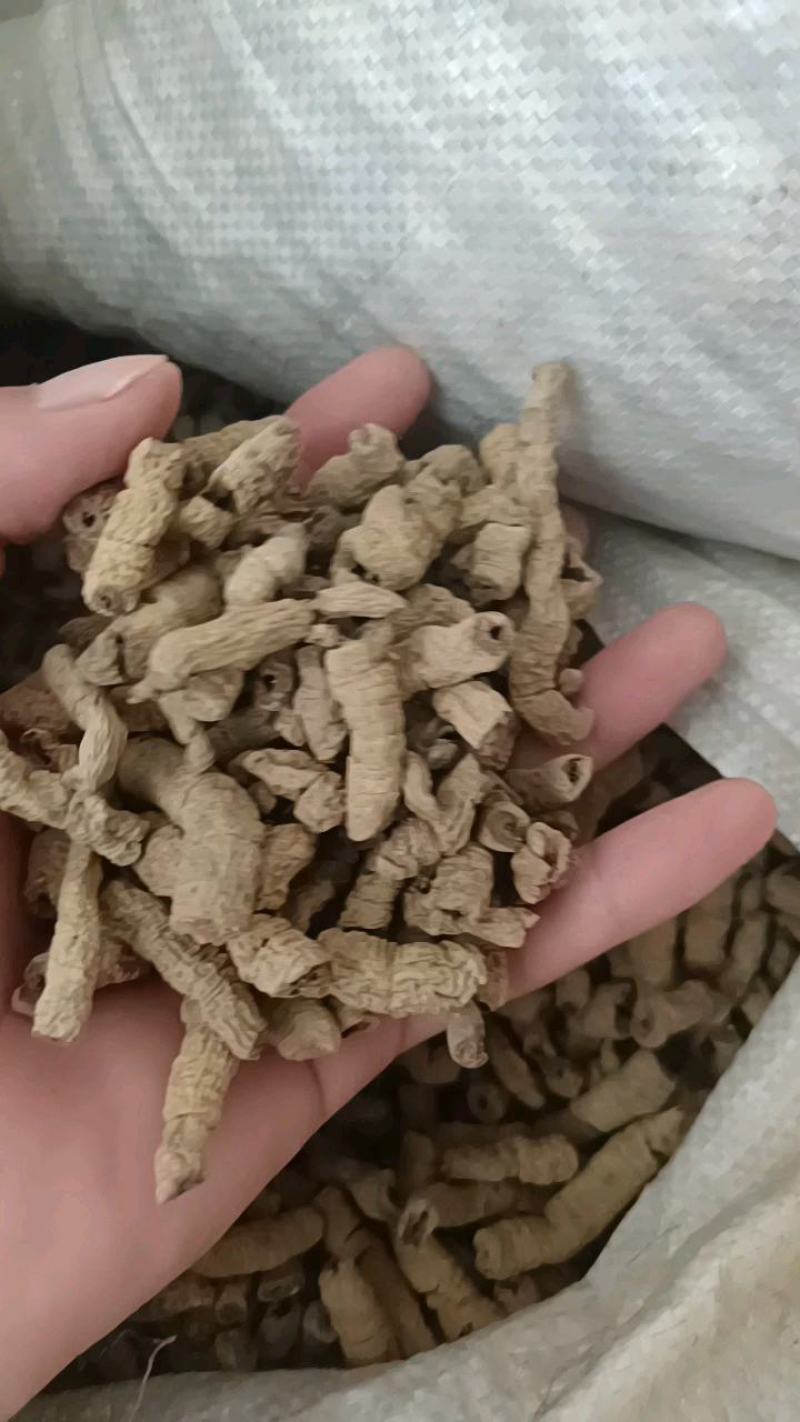 巴戟天巴戟肉优质无硫全抽巴戟肉产地直销一手货源中药材