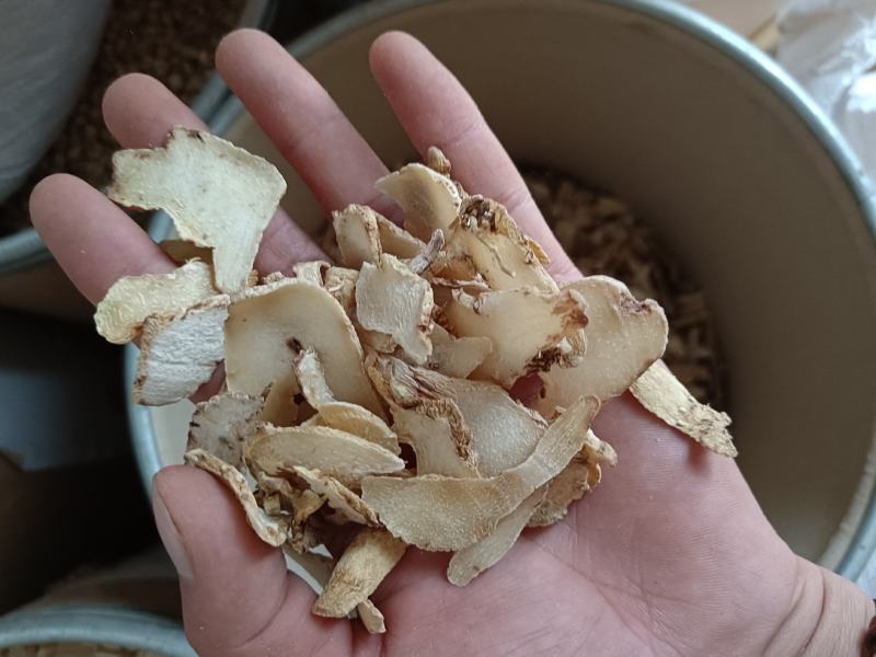 白芨片三叉白芨白芨个批发中药材白芨个白及