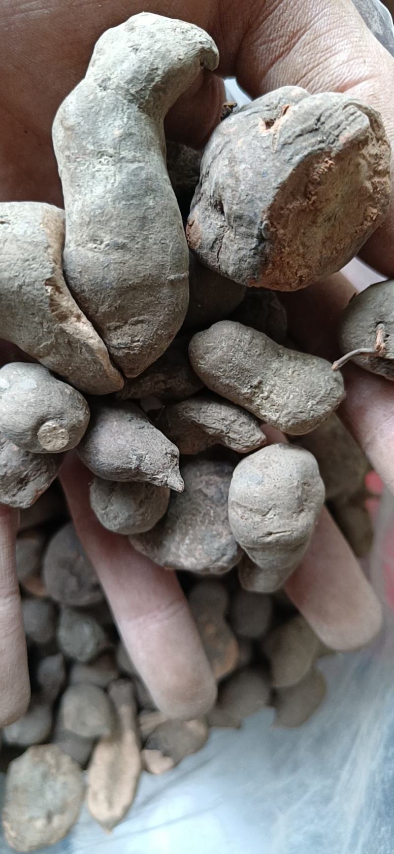 三叶青优质无硫三叶青产地直销常年批发中药材花茶