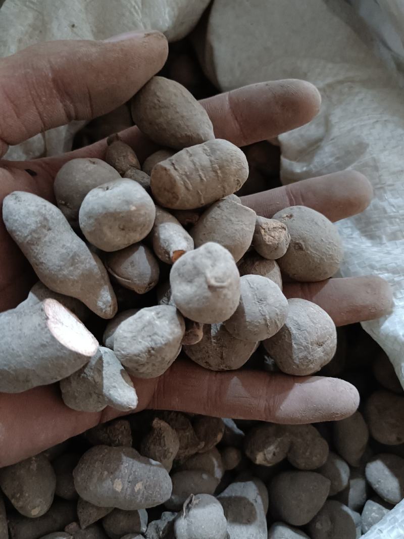 三叶青优质无硫三叶青产地直销常年批发中药材花茶