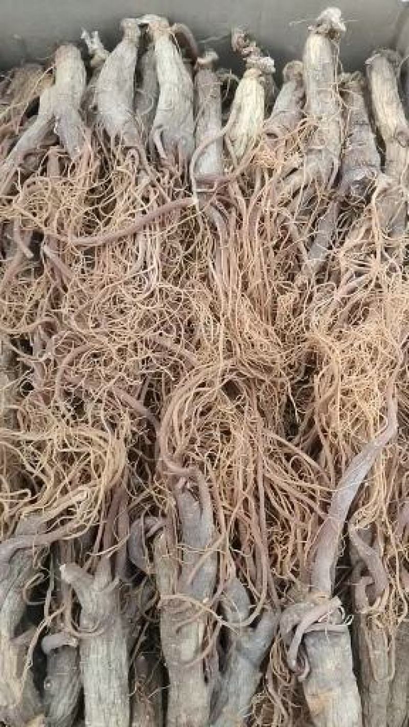 【红全须】无糖无任何添加剂全须低农残红参