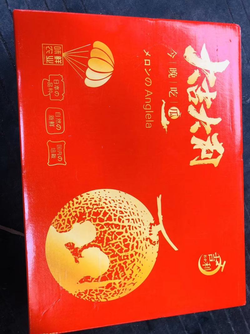 网纹瓜海阳批发