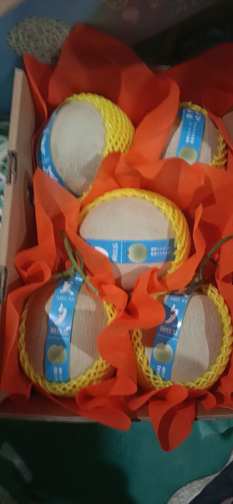 网纹瓜海阳批发