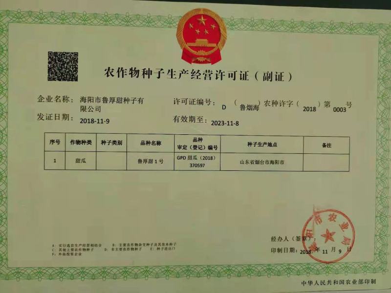 网纹瓜海阳批发