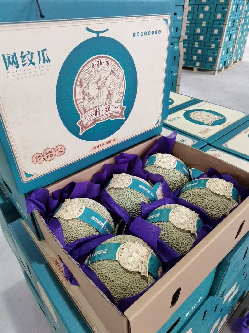 网纹瓜海阳批发