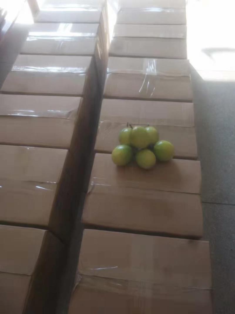 大量供应广西桂林黄金百香果，又香又甜，多汁，营养美味