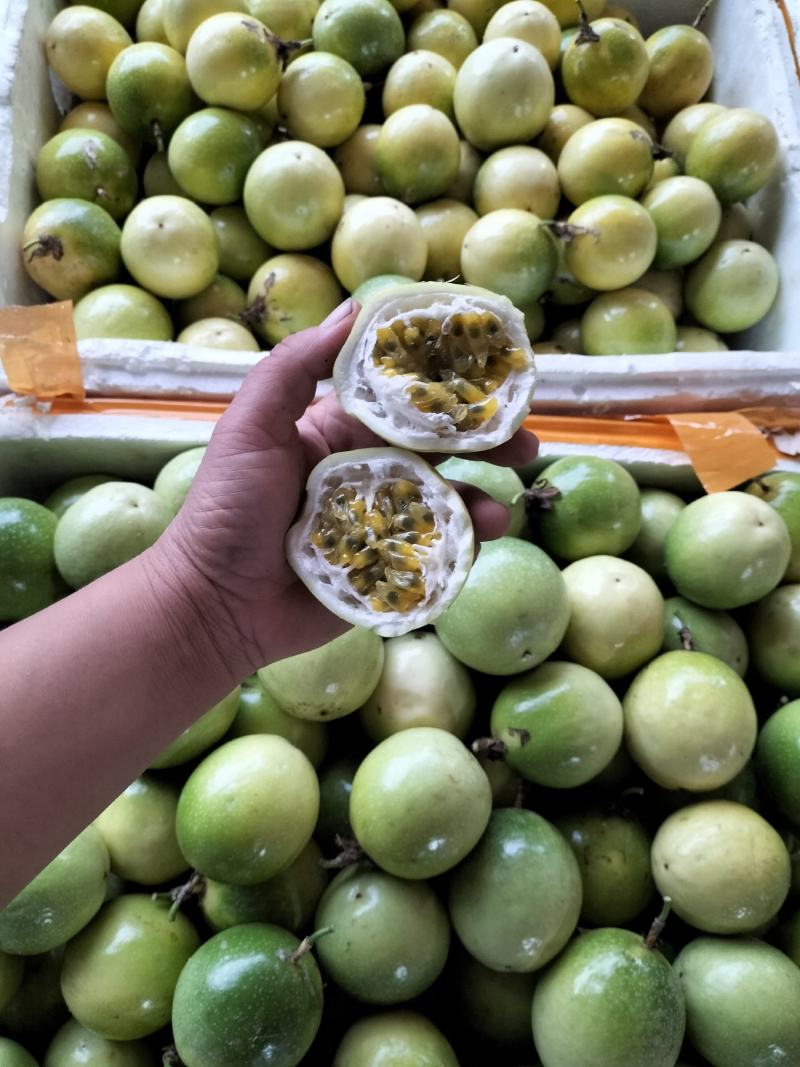 大量供应广西桂林黄金百香果，又香又甜，多汁，营养美味