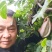 少籽八月瓜，九月炸，十月摘下哄娃娃。晚熟八月瓜苗上市中