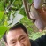 少籽八月瓜，九月炸，十月摘下哄娃娃。晚熟八月瓜苗上市中