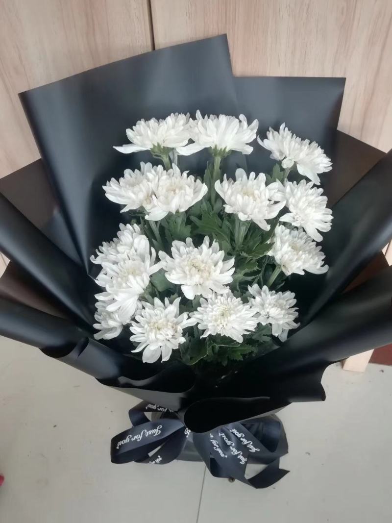 精品黄菊、白菊花鲜切花精品黄菊、白菊种苗