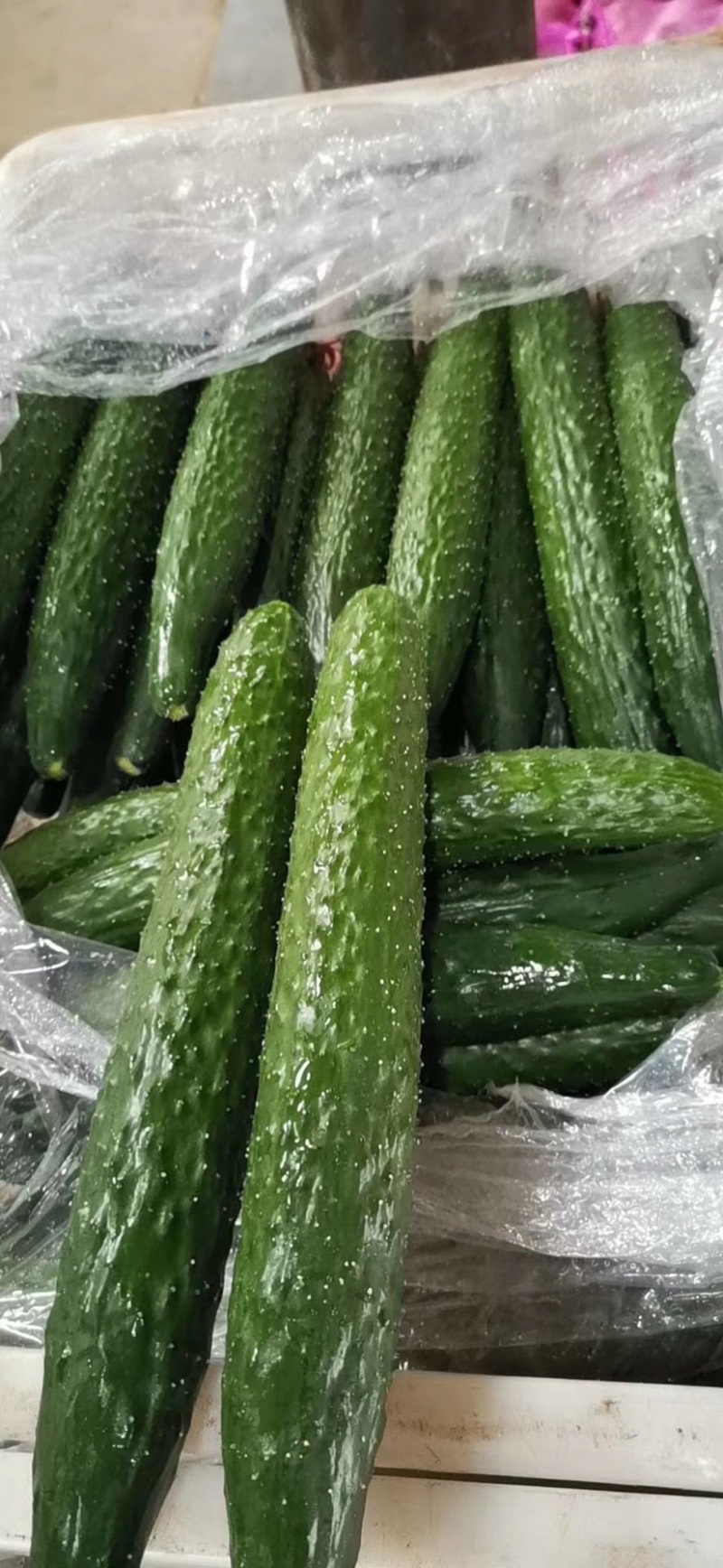 黄瓜油瓜带花刺黄瓜