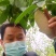 少籽八月瓜，九月炸，十月摘下哄娃娃。晚熟八月瓜苗上市中