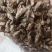 牤虫内蒙古选货统货都有质量可靠欢迎下单