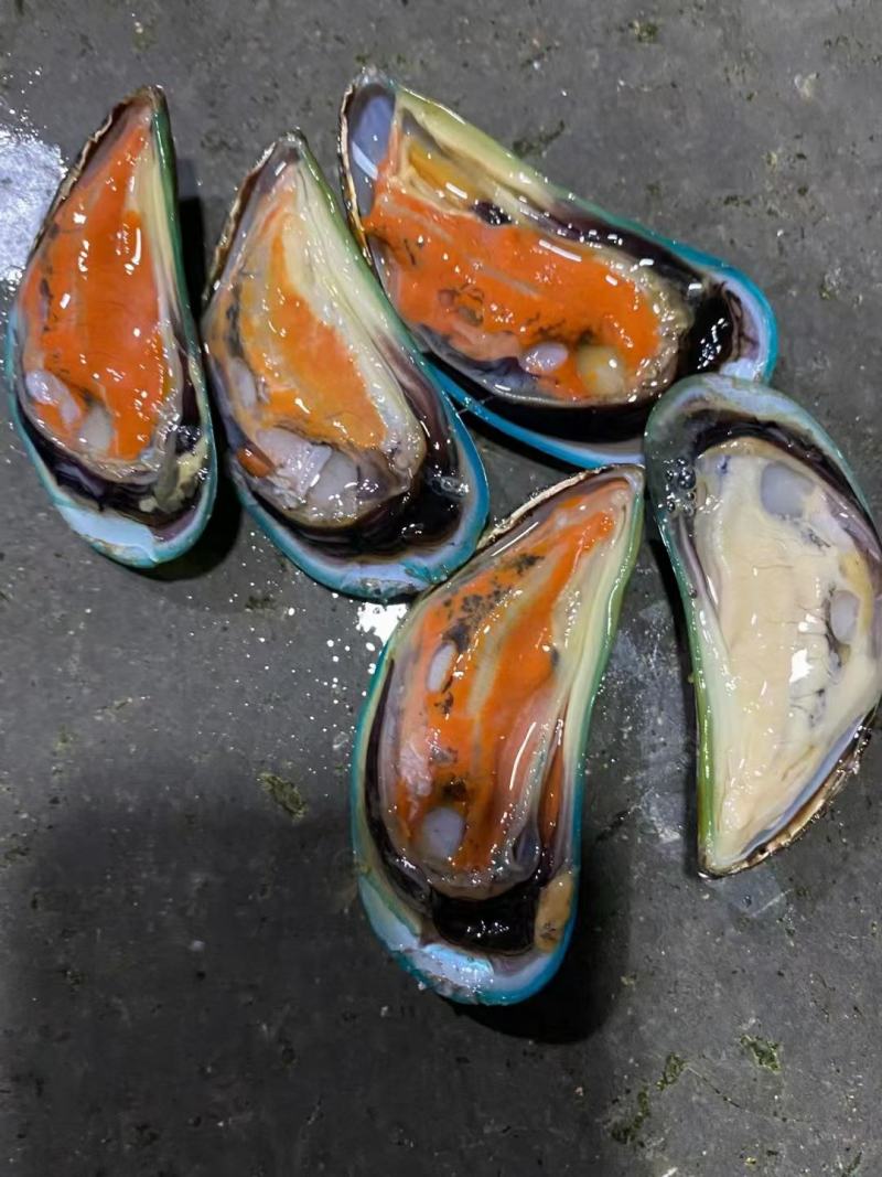 湛江青口贝，翡翠贻贝，海虹，特大青口，社区团购，