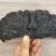 海南尖峰岭大自然灵芝