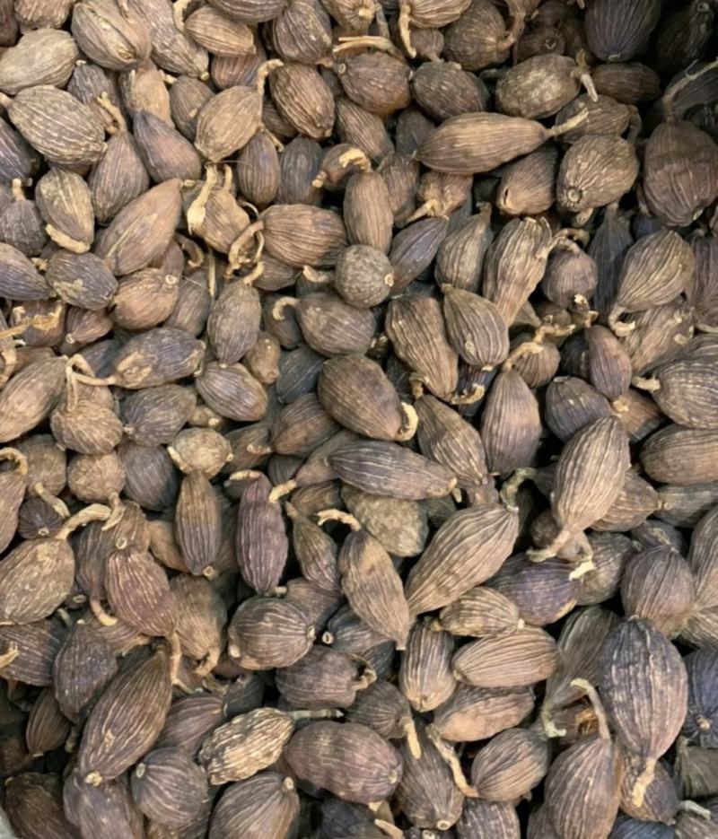 云南文山麻栗坡（英雄老山）草果