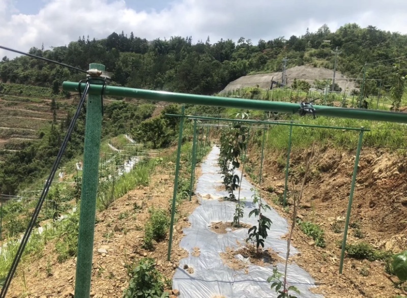 玻璃纤维杆、柱，百香果支架，代替水泥立柱，竹片等