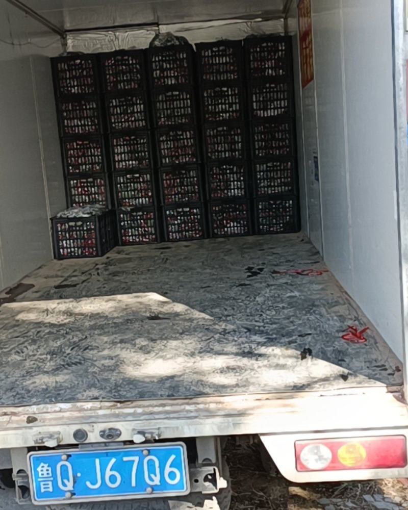 沂蒙山优质山楂，现摘现卖，精选优选，保证质量价格公道