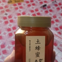 来自甘肃陇南的优质土蜂蜜