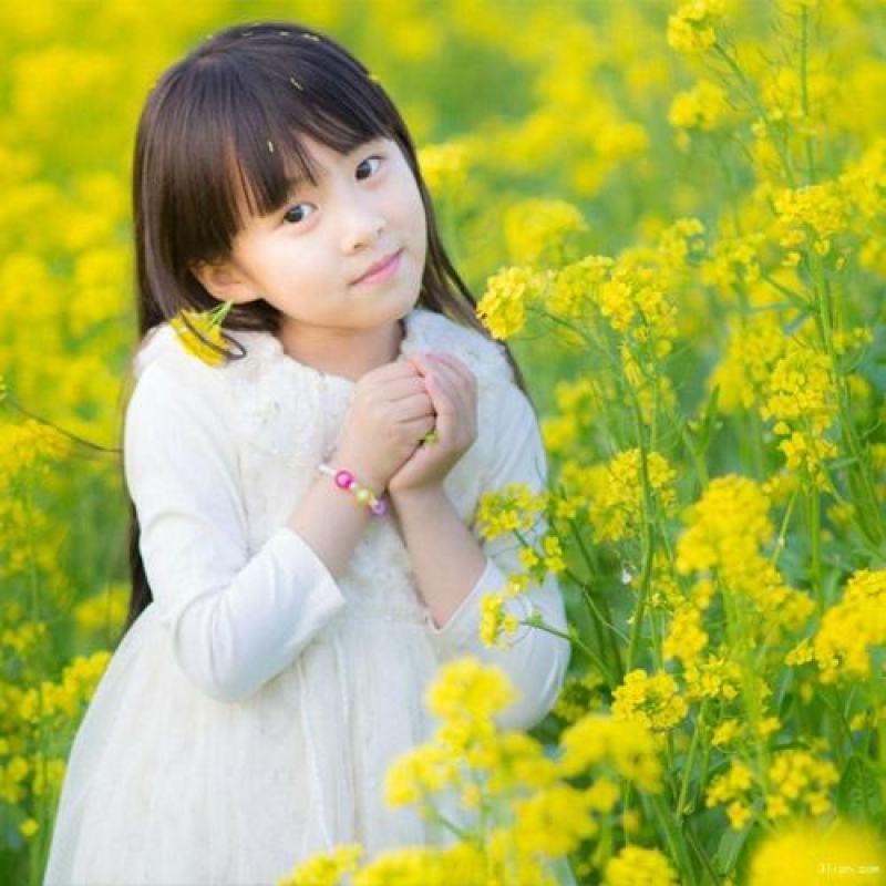 观赏油菜花种子油菜籽道路景观花海四季种植可榨油种子蜜源