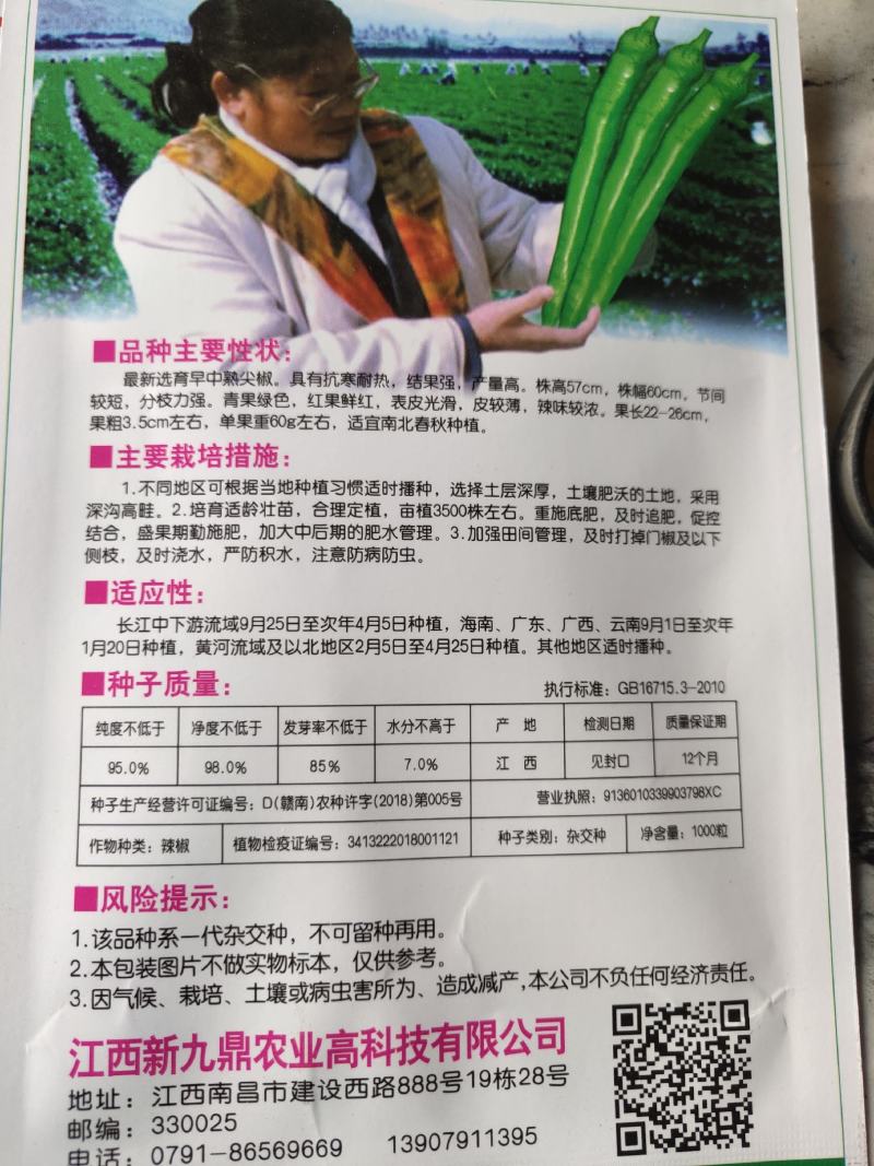 赣杂19号种，具有抗寒耐热，产量高，青果绿色，表皮光滑，