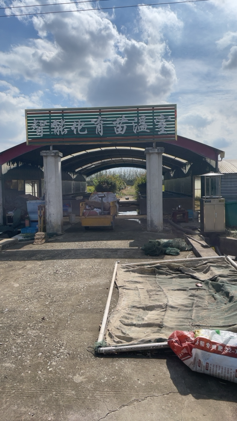 【爆款】长期供货黄骨鱼苗，不断货，可实地考察，量大优惠