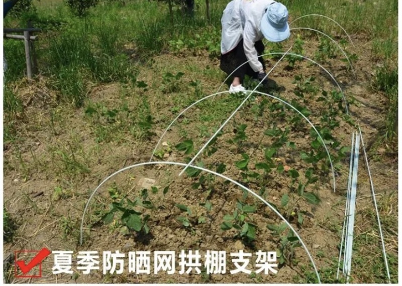 防逃网支撑杆吊笼支架玻璃纤维杆小拱棚支架温室二棚