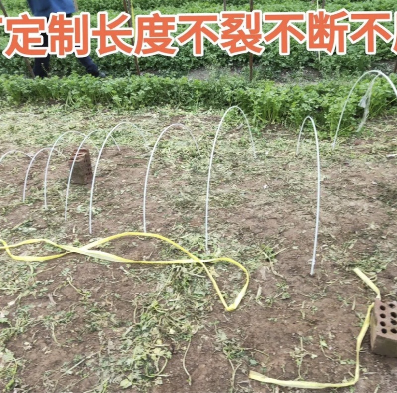 防逃网支撑杆吊笼支架玻璃纤维杆小拱棚支架温室二棚