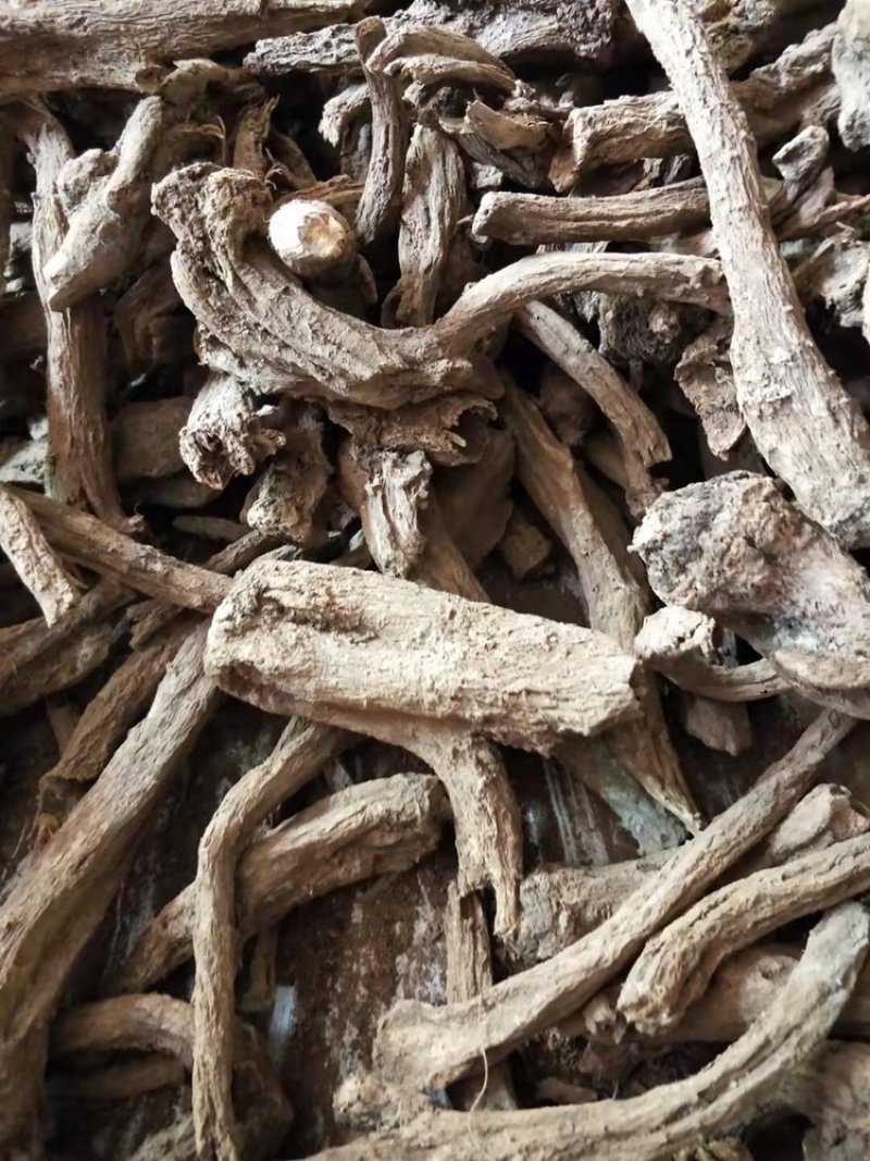 2000吨木香出售