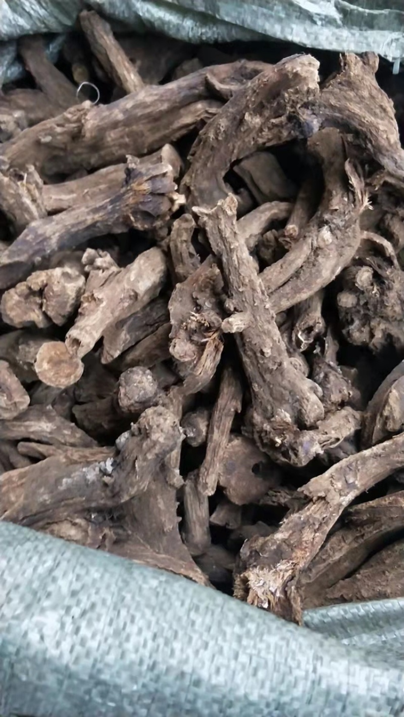 2000吨木香出售