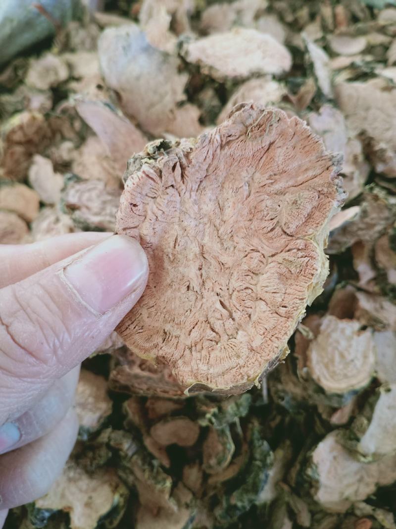 红景天，大花红景天香味浓厚，经营各种中药材欢迎咨询合作