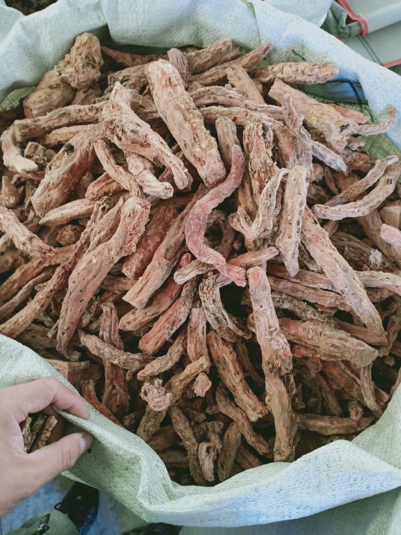 红景天，大花红景天香味浓厚，经营各种中药材欢迎咨询合作