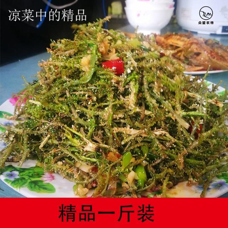 山野菜鹿角菜甘肃甘南高原土特产干货野生鹿角菜