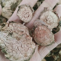 红景天，小花红景天片质量保证，经营各种中药材欢迎咨询购买