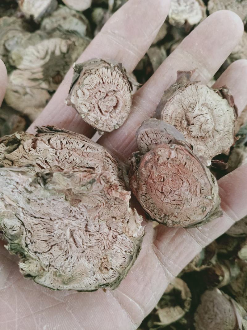 红景天，小花红景天片质量保证，经营各种中药材欢迎咨询购买