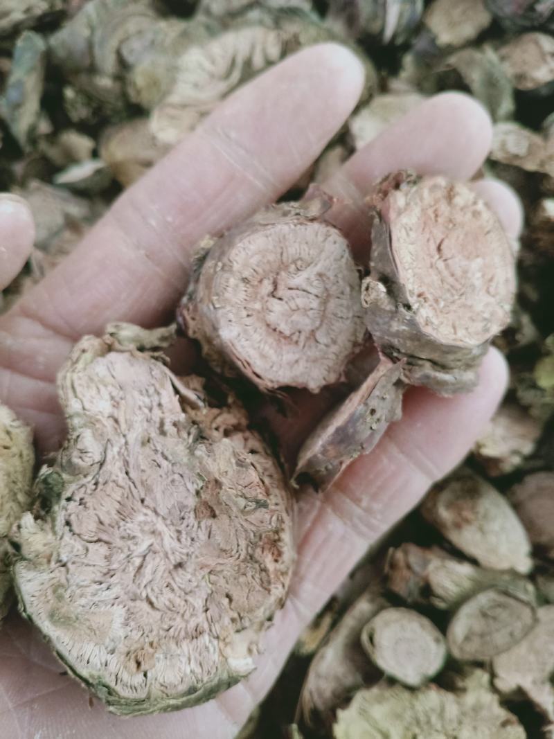红景天，小花红景天片质量保证，经营各种中药材欢迎咨询购买