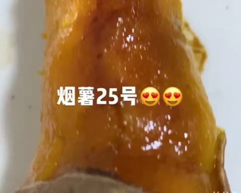 烟薯25沙地种植农户种植，一手货源，烤来流油