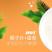 海南特产【活动特惠】醇香椰子粉2x450g罐装椰子粉
