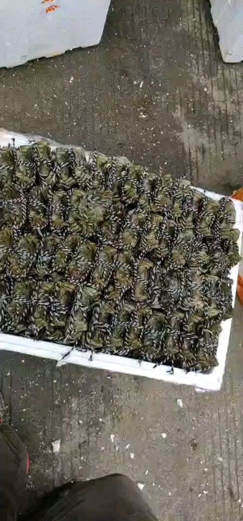 洪湖清水大闸蟹产地直发