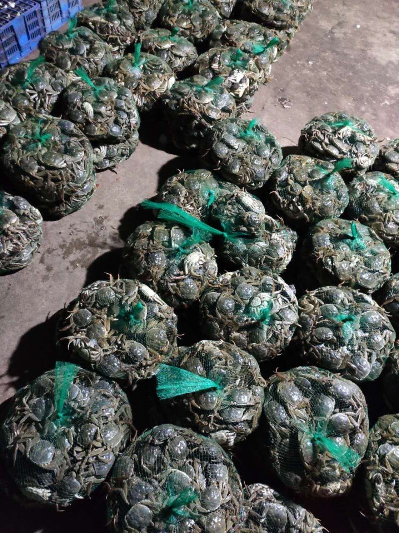 洪湖清水大闸蟹产地直发