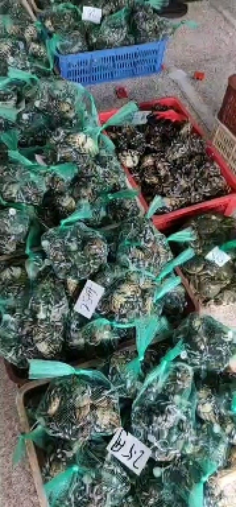 洪湖清水大闸蟹产地直发