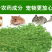 紫花苜蓿种子多年生四季牧草种子进口种子鸡鸭鹅牛羊马兔鱼等