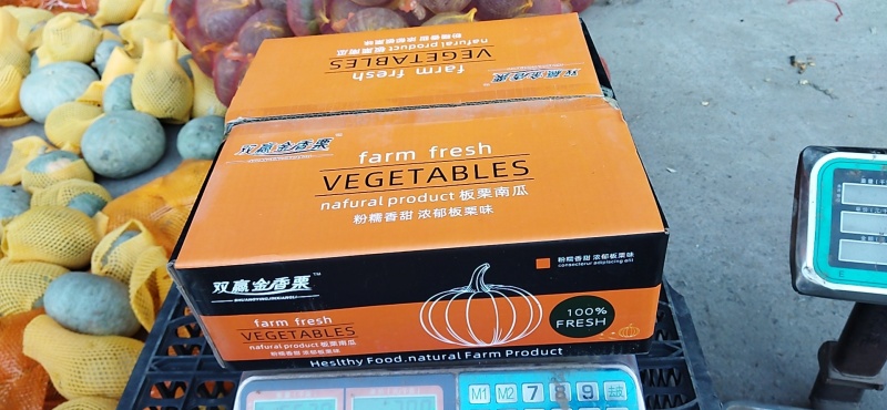 新西兰板栗南瓜，产地直销，量大货优，价格美丽，欢迎采购