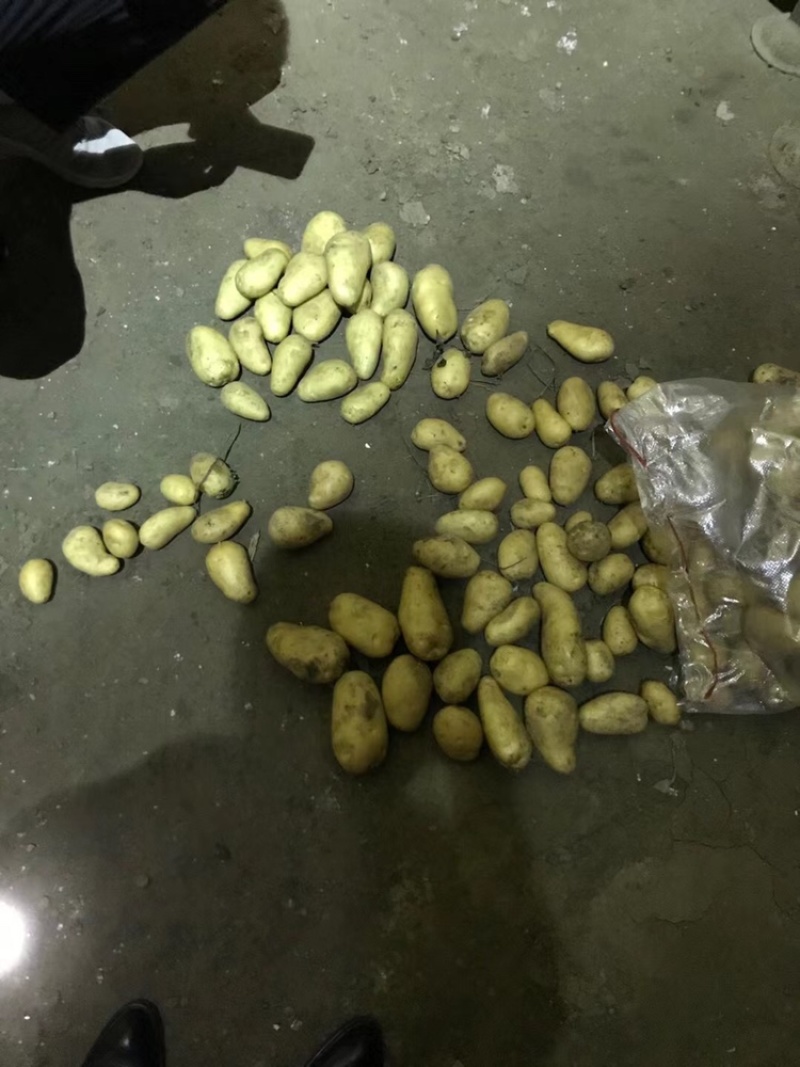 袋装，箱装，各种规格土豆